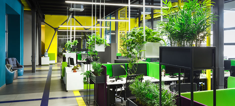 Aménagement de bureaux en vert, ça fait du bien !