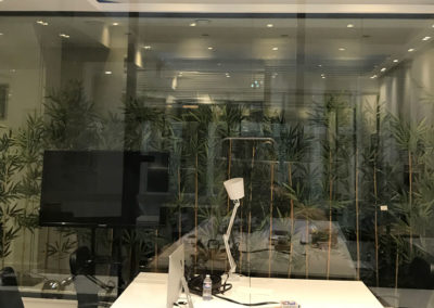 cloison-bureaux-vegetale